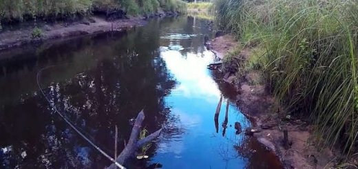 Рыбалка на малой речке
