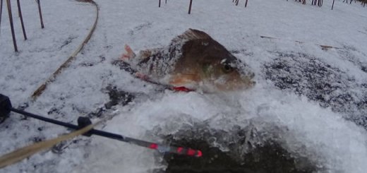 Зимняя рыбалка под новый год