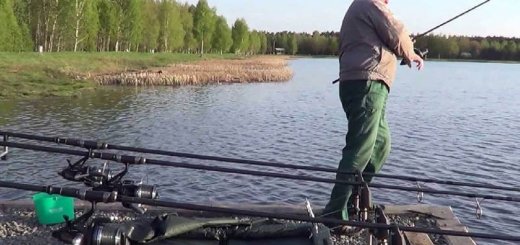 Рыбалка на озере Новое