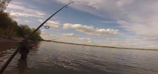 Рыбалка на реке Обь
