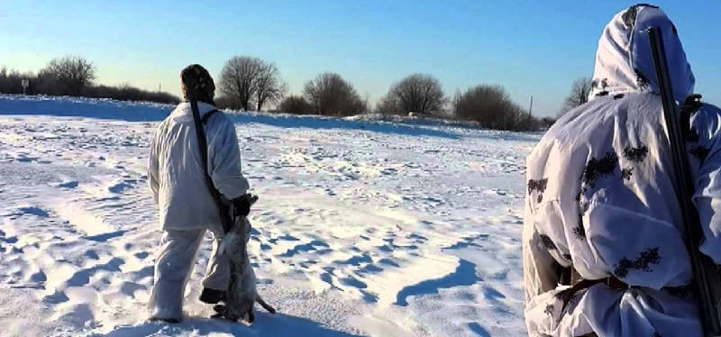 Охота на зайца зимой в Нижегородской области