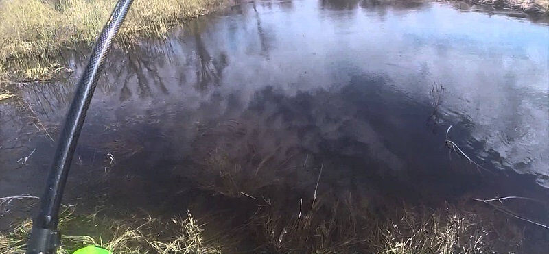 Рыбалка в мае