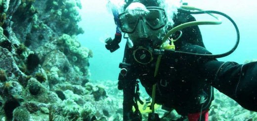 Подводная охота на Японском море