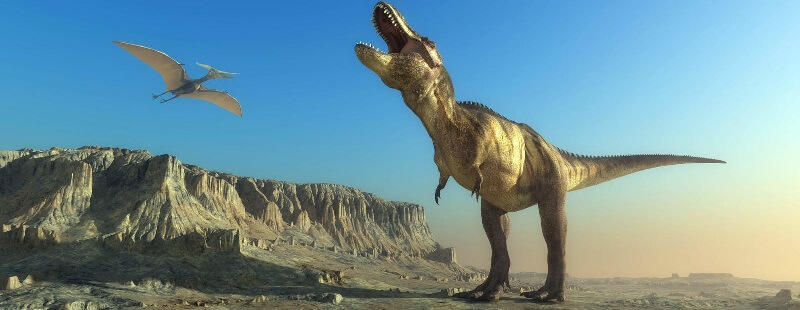 Что случилось с динозаврами?