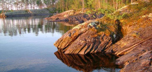 Рыбалка и охота в Ярославской области