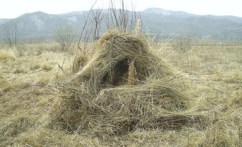 Скрадок