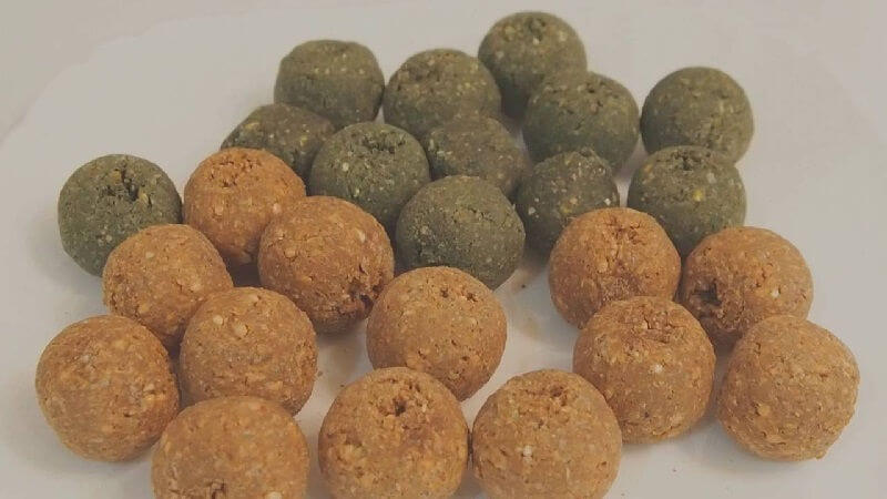 Бойлы на карпа своими руками
