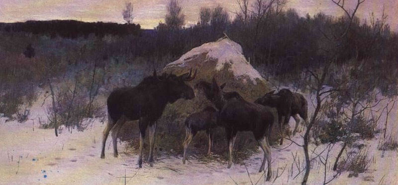Лоси