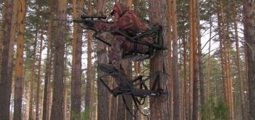 Охота на медведя на овсах с лабаза в специальной экипировке