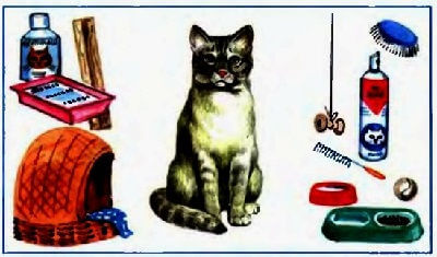 Уход за кошкой