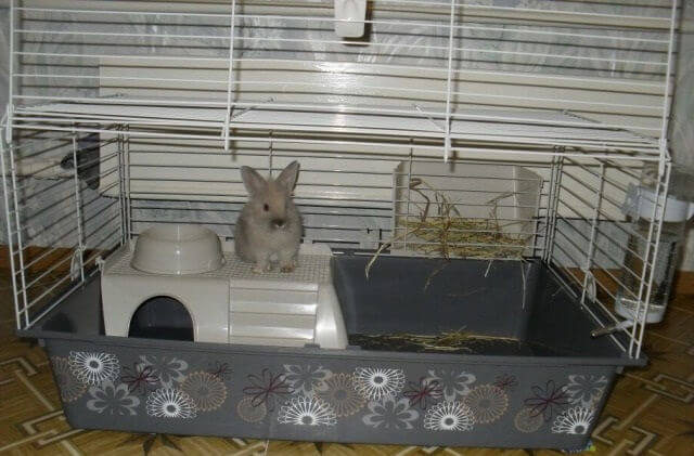 Клетка для кролика
