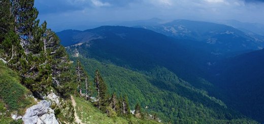 Туризм в Черногории