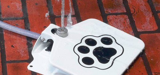 Doggie Fountain