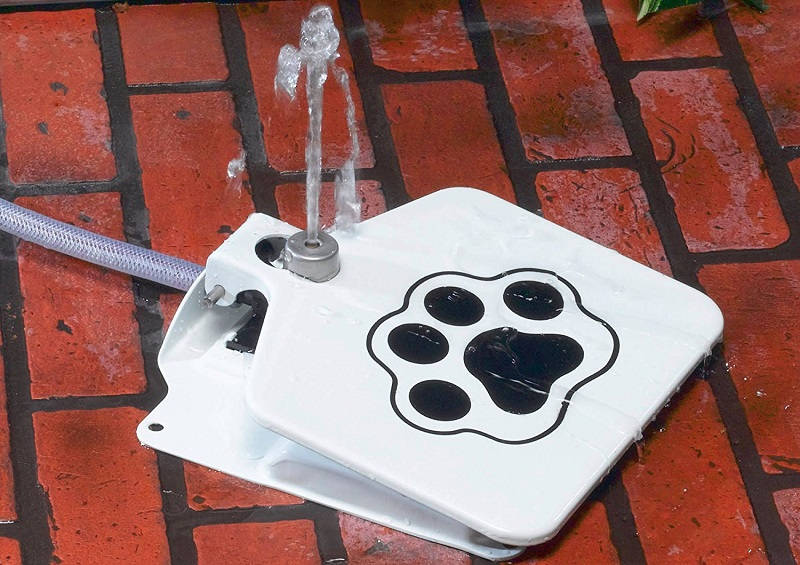 Doggie Fountain
