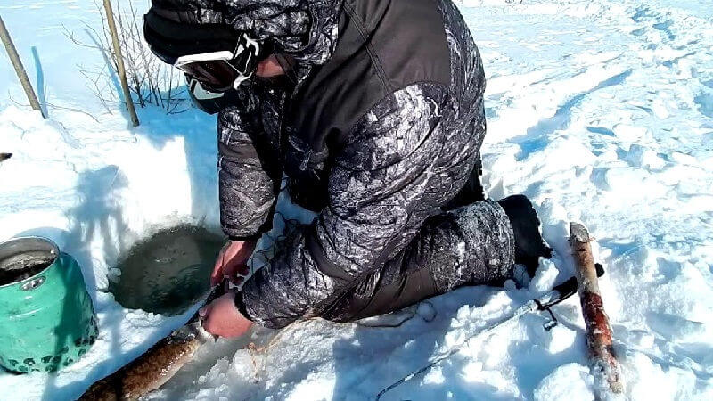 Зимняя рыбалка на Кубани