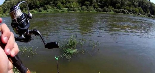 Рыбалка летняя на реке Дон