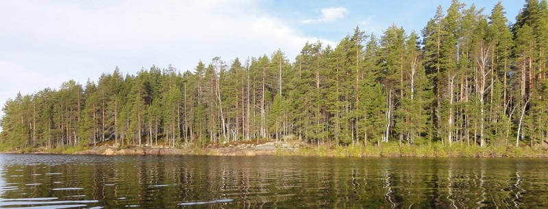 Рыбалка в Карелии