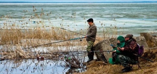 Календарь рыболова на апрель