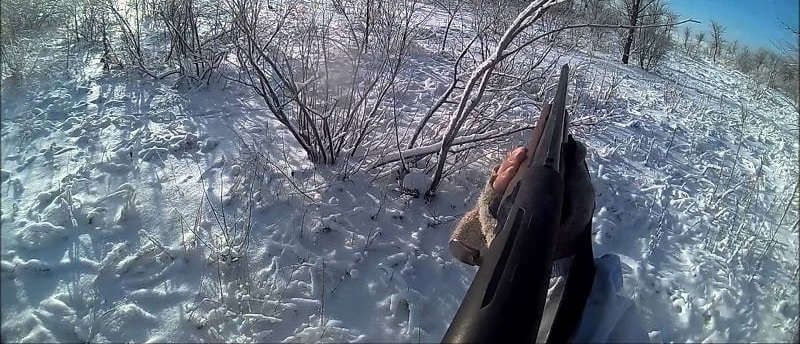 Охота зимой