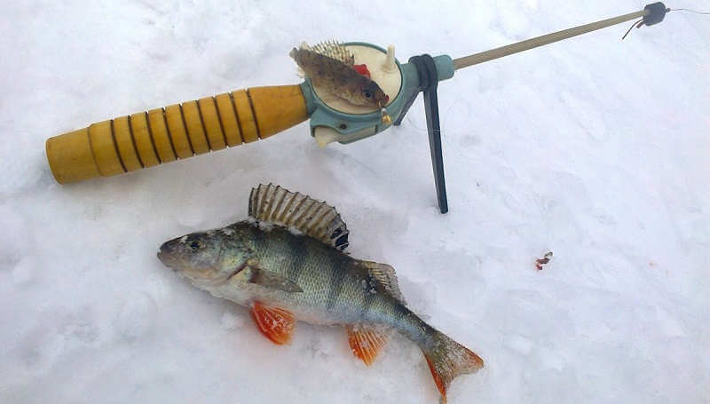 рыбалка зимой ловля окуня видео