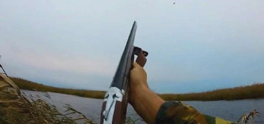 Охота на утку в Астрахани