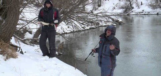 Видео ловли зимой на спиннинг