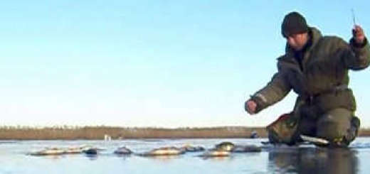 Видео рыбалки по первому льду