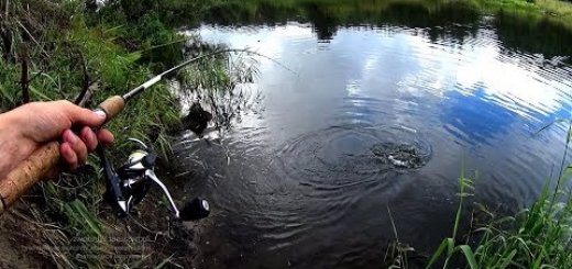 Рыбалка на спиннинг на малой реке