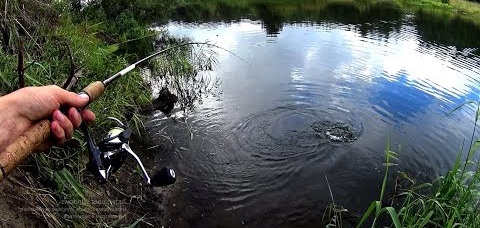 Рыбалка на спиннинг на малой реке