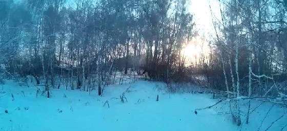 Коллективная охота на зайца в 2018 