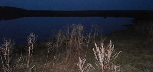 Видео ночной рыбалки на живца