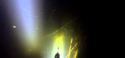 Подводная охота в Тамбове