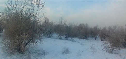 Моменты зимней охоты видео
