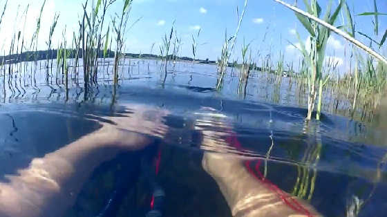 Подводная охота на карасей на озере видео