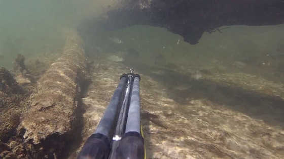 Подводная охота на малых реках видео