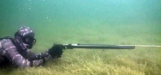 Видео подводной охоты на водохранилище