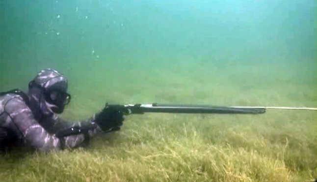 Видео подводной охоты на водохранилище
