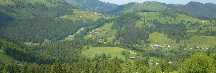Тур в Карпаты