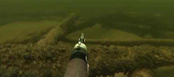 ружье для подводной охоты на реке