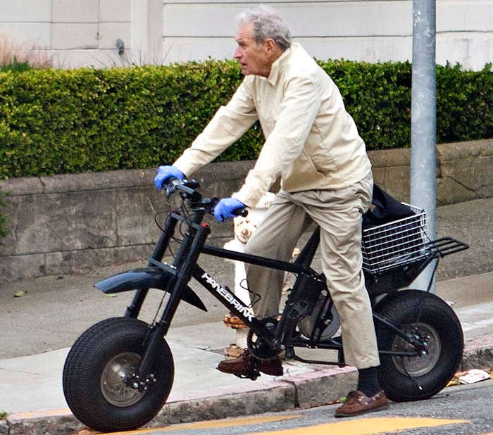 Hanebrink Electric All-Terrain