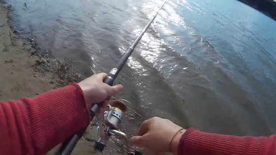 Ловля леща весной на реке Днестр видео