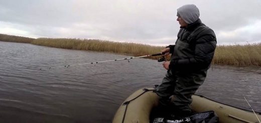 Ловля рыбы в Астраханской области