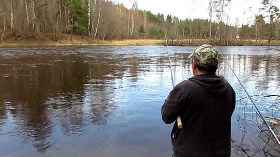 Ловля плотвы ранней весной видео