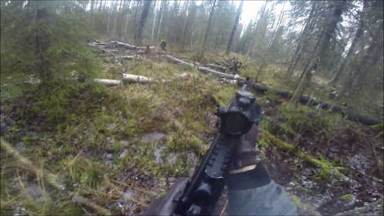 Охота на лося с западно-сибирскими лайками видео