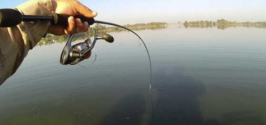 Рыбалка на микроджиг видео