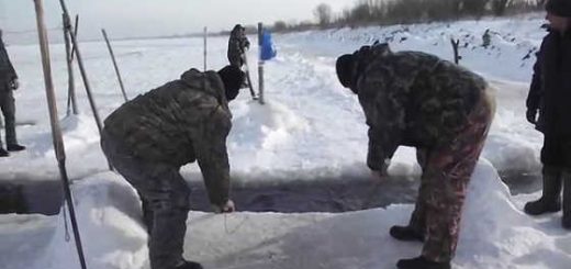 Лов миноги в Амуре видео