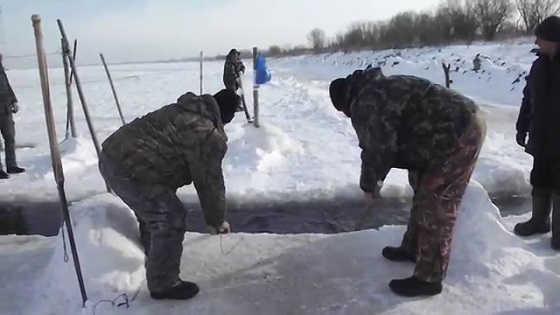 Лов миноги в Амуре видео