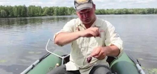 Ловля сома на квок видео