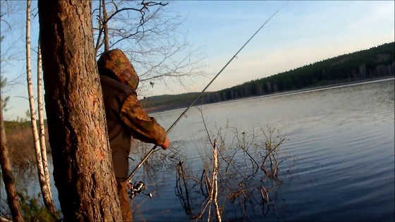 Ловля весенней плотвы на поплавок видео