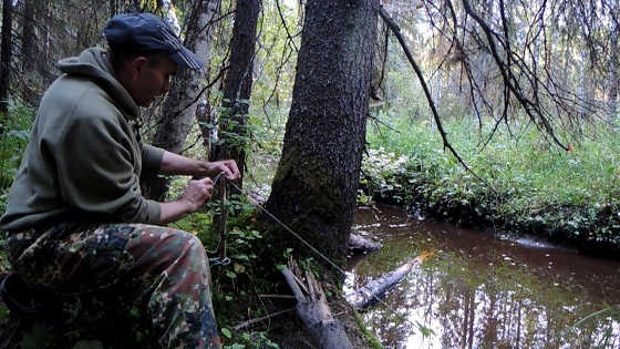 Осенняя ловля налима на ручье видео